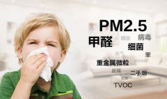 一些值得借鑒方法又常用的佛山新房除甲醛的技巧有哪些？
